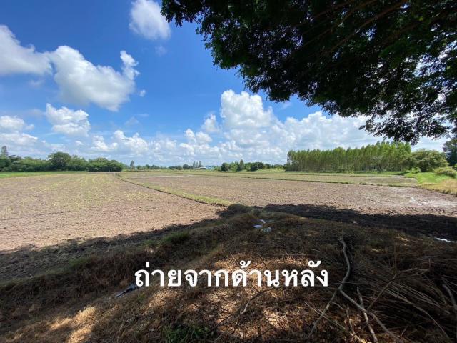 ขายที่ดิน ทำเลดี อ.สามชุก จ.สุพรรณบุรี 