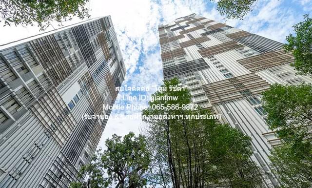 ห้องชุด Park Origin Phrom Phong พาร์ค ออริจิ้น พร้อมพงษ์ 120000 บาท  พื้นที่ 96 Square Meter   ราคาต่ำกว่าตลาด กรุงเทพ