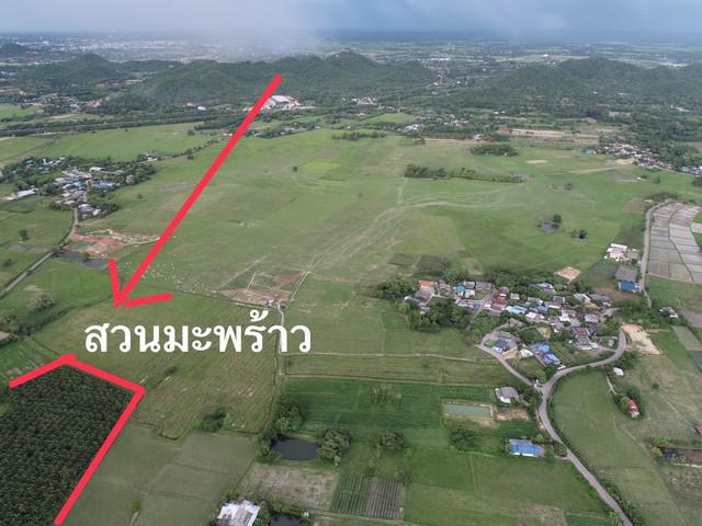 ขายที่ดิน 400 ไร่ ตำบลดอนแร่ อำเภอเมือง จังหวัดราชบุรี