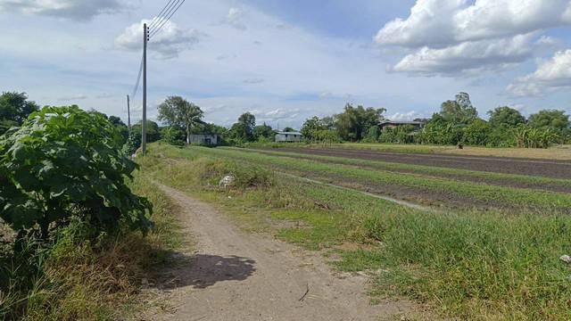 ที่ดิน ที่ดิน บางเดื่อ ใกล้ถนนราชพฤกษ์ ตัดใหม่ ปทุมธานี ทำเลทอง ปทุมธานี   