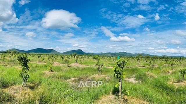 ขายที่ดิน ตำบลมะเขือแจ้ เมืองลำพูน  ขนาดที่ดิน 15 ไร่