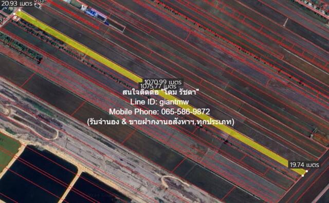 ขายที่ดินทุ่งนาติดถนน ต.คลองเปร็ง อ.เมืองฉะเชิงเทรา 13-0-24.9 ไร่ 6.25 ล้านบาท