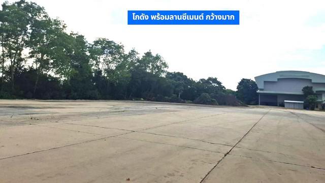 ขายโกดังขนาดใหญ่ 13-3-18 ไร่ ติดถนนหลัก พร้อมสำนักงาน 2 ชั้น,บ้านพักคนงาน 6 ห้องและบ้านเดี่ยว 2 ชั้น  บ้านชุ้ง นครหลวง อยุธยา