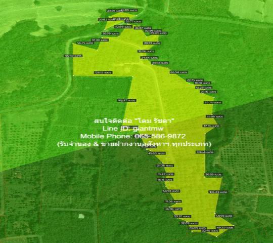 พื้นที่ดิน ขายที่ดินสวนผลไม้ปลอดสารพิษ (Organic) อ.ประจันตคาม จ.ปราจีนบุรี 57-0-90.4 ไร่, ราคา 57 ล้านบาท 57000000 BAHT  พื้นที่ 90 ตารางวา 0 NGAN 57 Rai ใกล้กับ ห่างทางหลวงหมายเลข 3649 (ถนนสุวรรณศร) ประมาณ 5 กม. โครตถูก ที่ดินตั้งอยู่ท่ามกลางสิ่งแวด