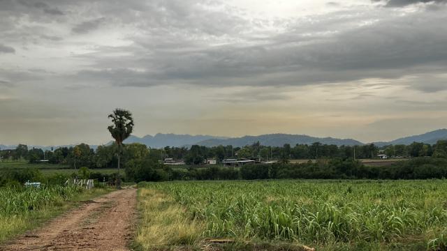 ขายที่ดินเปล่า ทำเลทอง วิวบรรยากาศภูเขาล้อมรอบ อำเภอแก่งคอย จังหวัดสระบุรี