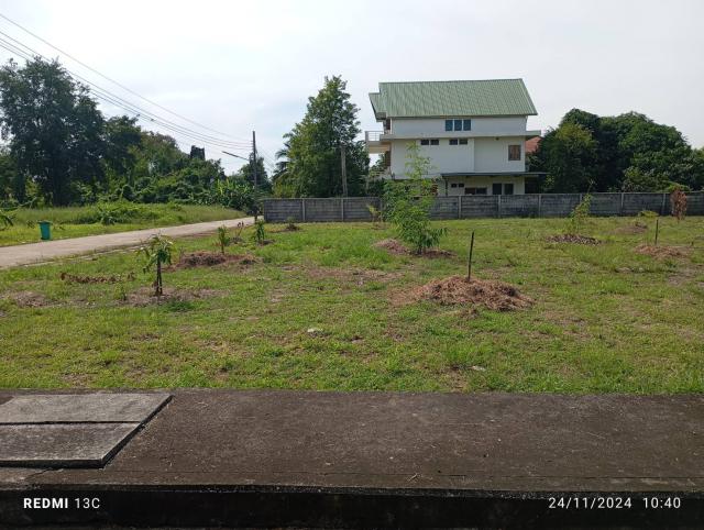เจ้าของขายเอง ขายที่ดินแปลงสวย! ทำเลดีในหมู่บ้านฮันนี่ พุทธมณฑลสาย 1