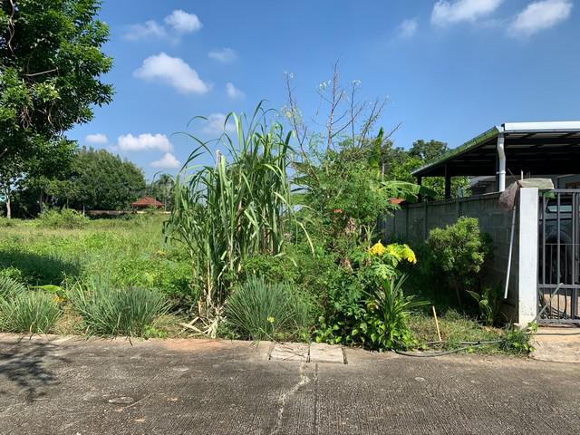 ขายที่ดินหมู่บ้านแม่สารบ้านตอง อำเภอเมืองลำพูน จังหวัดลำพูน เนื้อที่ 68 ตารางวา