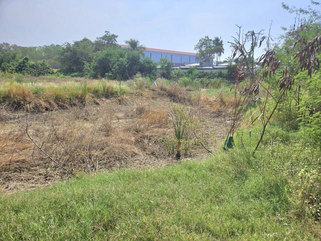 ขายที่ดินเปล่า ทำเลทอง ใกล้หาดบางเเสน อำเภอเมือง จังหวัดชลบุรี