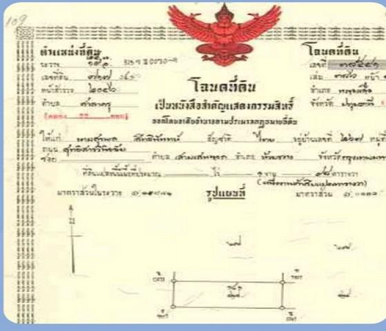ขายที่ดินแปลงสวยติดถนน 2 ฝั่ง คลอง11 อำเภอหนองเสือ จังหวัดปทุมธานี