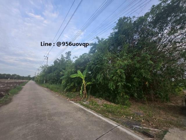 sss503 ขายที่ดินถมแล้ว คลอง 3 คลองหลวง ใกล้วัดธรรมกาย