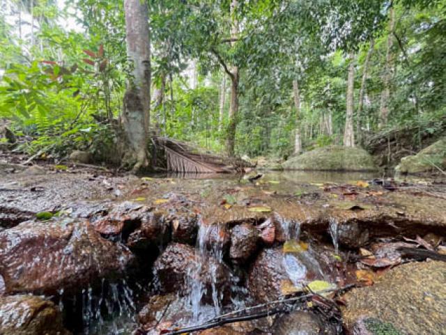For Sale or Long Lease: 3 Rai of Prime Land  Area of Koh Samui Mountain-View Land with Stream in Lipa Noi, Koh Samui
