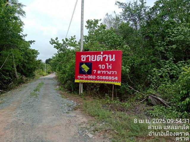 ขายที่ตราด ใกล้หาดมุกแก้ว ใกล้น้ำตกสะพานหิน ที่เปล่าแหลมกลัด