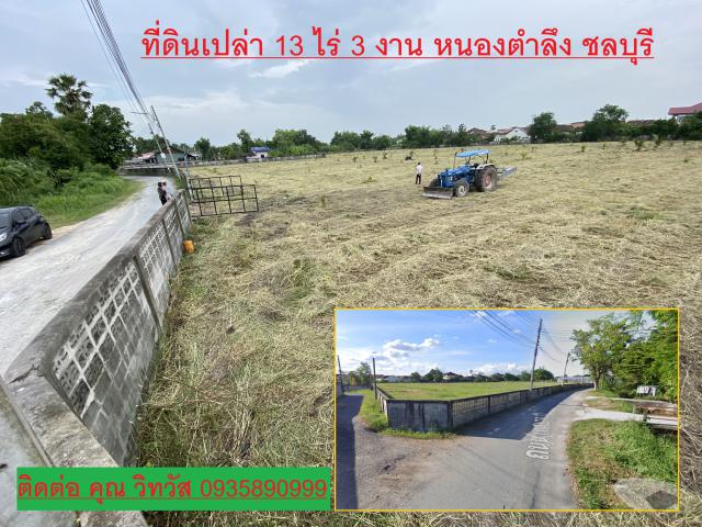 ขายที่ดินเปล่า ทำเลดี  ตำบลหนองตำลึง  อำเภอพานทอง จังหวัดชลบุรี 
