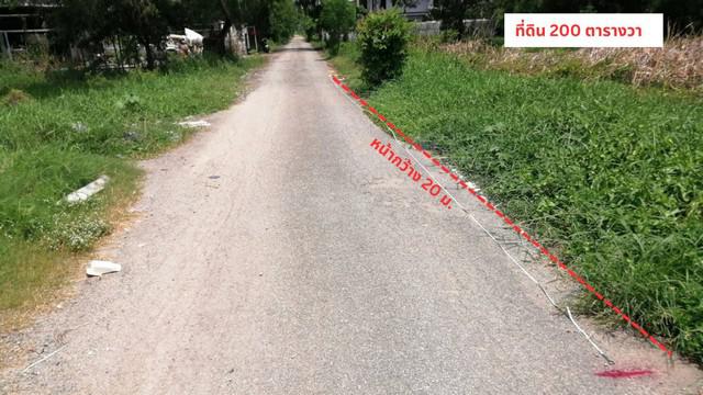 ขายที่ดิน 200 ตรว.ซ.บงกช34 ถนนบงกช (เลียบคลองสอง) คลองหลวง ไฟฟ้า น้ำประปาพร้อม ปทุมธานี