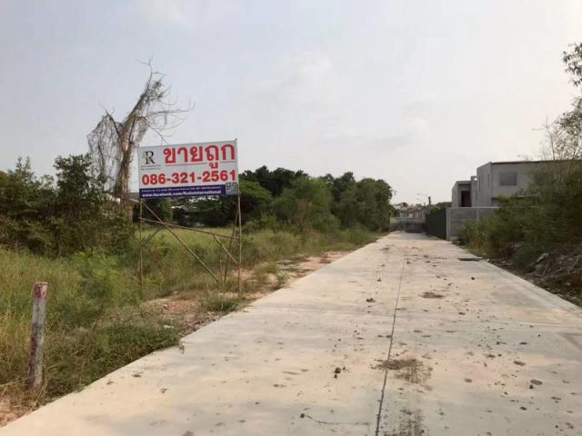 ขายที่ดินติดถนน ทำเลดี เพิ่มสิน 66 ซอยออเงิน จังหวัดกรุงเทพมหานคร #ราคาดีทำเลดีติดต่อผึ้งรติ 061-941-9639