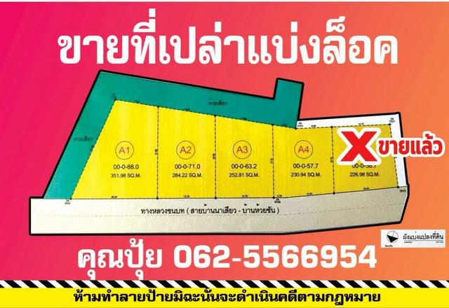 ขายที่เปล่าตำบลนาเสียวชัยภูมิ ติดถนนทางหลวงชนบทสายบ้านนาเสียวบ้านห้วยชัน