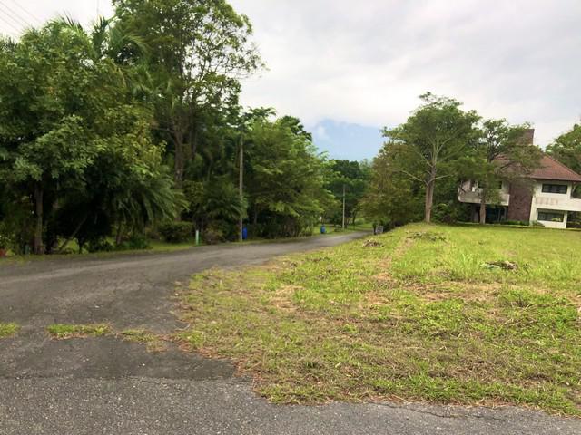 ขายที่ดิน 470 ตร.ว. ในสนามกอล์ฟเซอร์เจมส์คันทรีคลับ Forest Hill อ.มวกเหล็ก สระบุรี แปลงมุม ฟรีเมมเบอร์กอล์ฟตลอดชีพด้วย