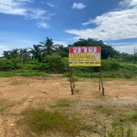 ขายที่ดินสวย  81ตร.วา ถมแล้ว   ซ.วัดกลางอ่างแก้ว  ท่าทราย  เมืองสมุทรสาคร