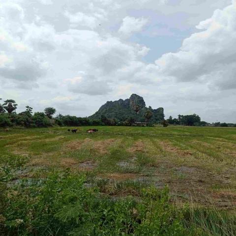 ขายที่ดินเปล่า ชุมชนตลาด  เขาย้อย เพชรบุรี (เหมาะกับลงทุน+เกษตร)