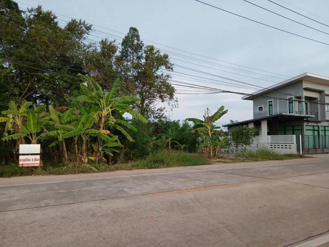 ขายให้เช่า หรือแลกเปลี่ยน ที่ดินเปล่า 3 ห้อง ติดถนนสายสะพานพร้าว จังหวัดพัทลุง