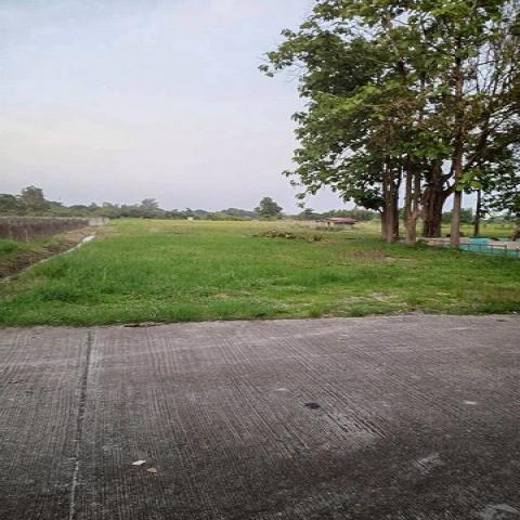 ที่ดินจัดสรร ทำเลดี  โซนสีเหลือง หางดง              