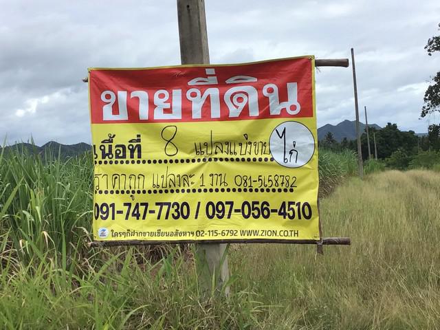 ขายที่ดิน 8 แปลง แปลงละ 1 งาน เขากระปุก  อ.ท่ายาง จ.เพชรบุรี  ZP191  