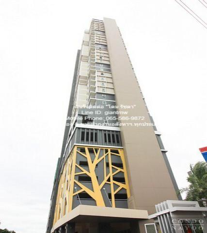 Condo Rich Park @ Chaophraya ริชพาร์ค @ เจ้าพระยา 10000 THB  32 sq.m.   ราคาดี นนทบุรี