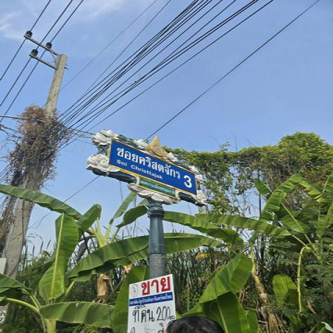 Sale ที่ดิน - สภาพเยี่ยม!
