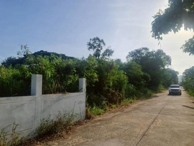 ขายที่ดินหายาก!! ติดทะเลหัวหิน ทำเลพรีเมียม ใกล้แค่ 150 เมตรจากชายหาด ราคาดีทำเลดีติดต่อผึ้งรติ โทร 061-9419-639
