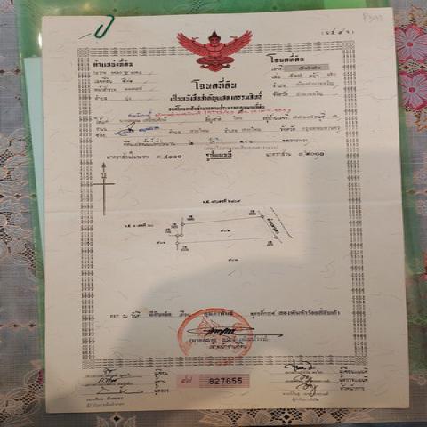 ขายที่ดินพร้อมสิ่งปลูกสร้าง บ้านเรือนไทย โฉนดที่ดิน ครุฑแดง อำนาจเจริญ 