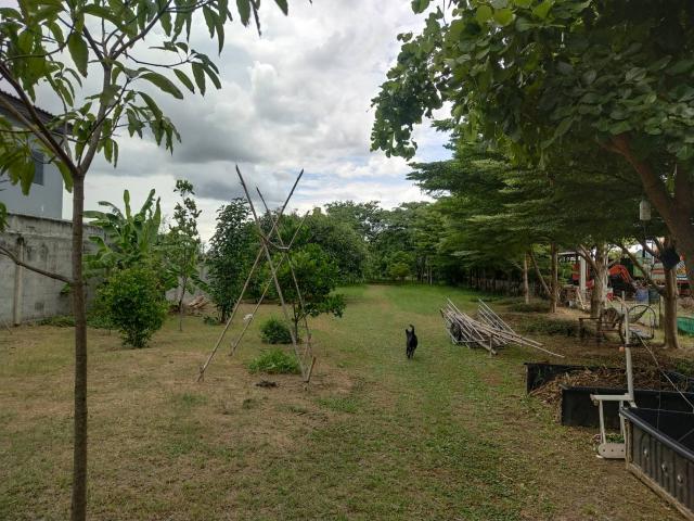 ขายที่ดินพร้อมบ้าน ทำเลดี ติดถนนมาลัยแมน อำเภอกำแพงแสน จังหวัดนครปฐม
