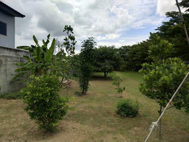 ขายที่ดินพร้อมบ้าน ทำเลดี ติดถนนมาลัยแมน อำเภอกำแพงแสน จังหวัดนครปฐม
