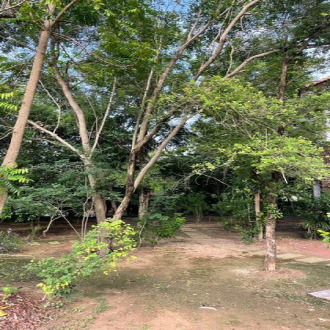ขายที่ดินพร้อมบ้านหรูสองชั้นหลังใหญ่ ใกล้ตัวเมืองนครนายก