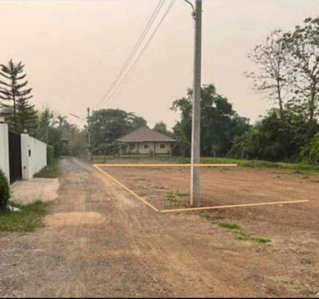 ขายที่ดินเปล่า100ตรว.ลดเหลือ 700,000บ. ฟรีโอน ถนน น้ำประปา ไฟฟ้า ต.แม่ปูคา อ.สันกำแพง เชียงใหม่
